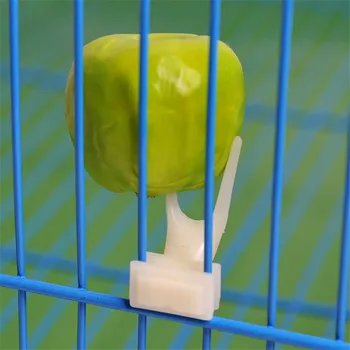 1Pcs Fruta Pirun Zogjsh Ushqyes Papagall Pet Zog Plastike e Ushqimit Mbajtësi i të Ushqyerit në Kafaz për Hamster Miu 2 Madhësi S/L Përshtatshëm Ushqyes