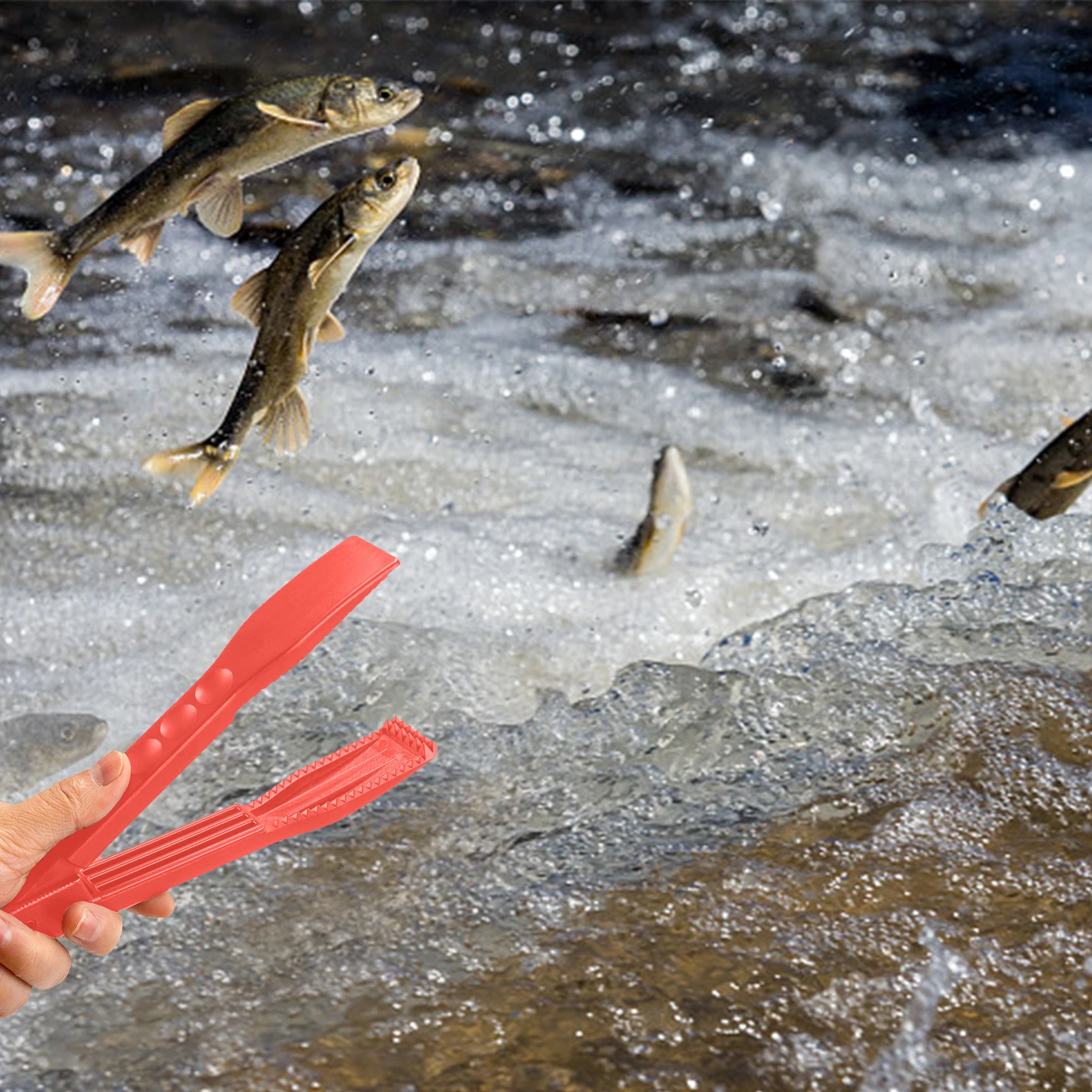 Peshku Cik Gripper Portativ Peshku Pajisje Kontrolli Të Peshkimit E Jashtme Dhe Peshku Kontrollin E Peshkut Të Mbërthen Me Lanyard Të Lehtë Për Të Vepruar Praktike . ' - ' . 3