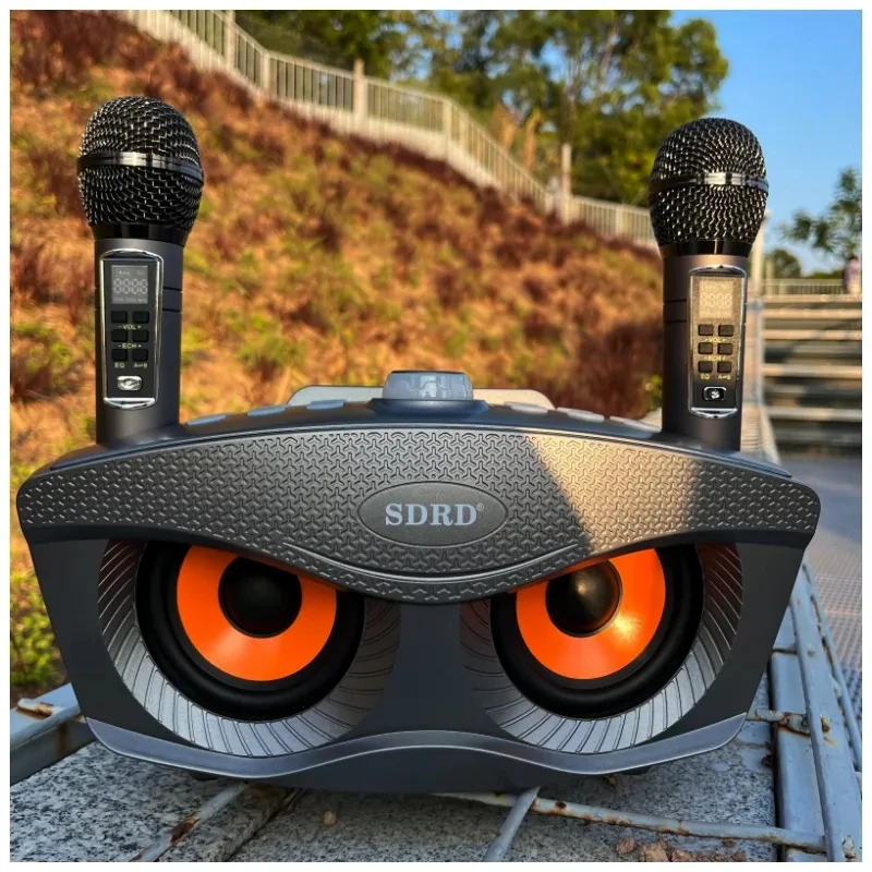 SD306 Plus Portable Karaoke pa Tel Bluetooth Kryetarit 2 në 1 Dyfishtë Mikrofon Owl Kryetarit 30W të Lartë të Pushtetit Subwoofer Familjes KTV . ' - ' . 0