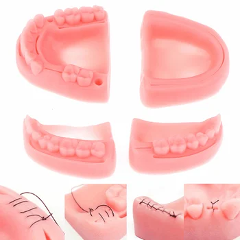1 Set Silikoni Artificiale Të Lëkurës Me Gojë Të Rreme Stomatologji Llojet Më Të Zakonshme Të Dhëmbëve Plagët E Rreme Të Lëkurës Suture Praktikë E Trajnimit Dentisti Kit