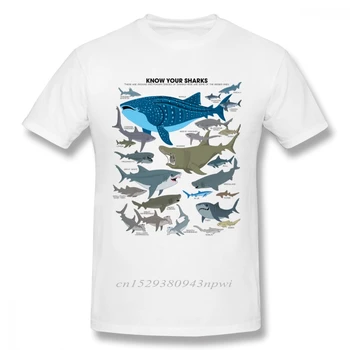Organizmat Detarë Peshkaqenë T Shirt Për Njeriun Stilin Vintage Mëngë Të Shkurtra Organike Pambuku Madhësi Të Madhe Camiseta Shkronja T Shirt